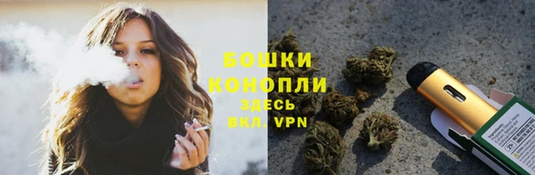 индика Балабаново