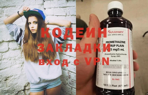 индика Балабаново