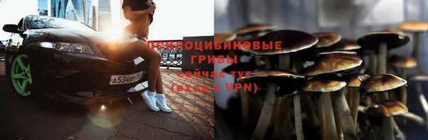 индика Балабаново