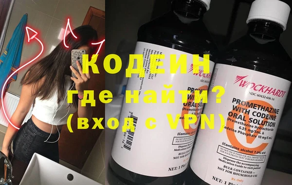 индика Балабаново