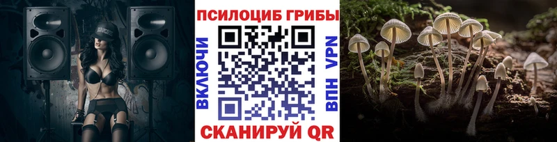 Галлюциногенные грибы Psilocybe  цена   Стрежевой 